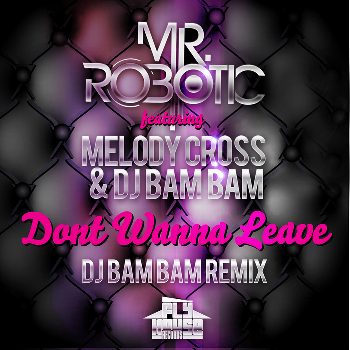 MR ROBOTIC feat MELODY CROSS & DJ BAM BAM - Dont Wanna Leave