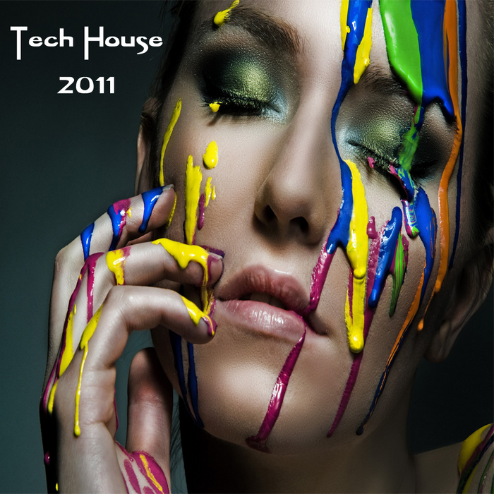 VARIOUS - Tech House 2011