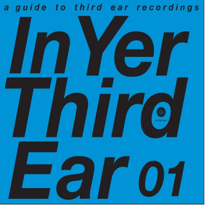 VARIOUS - In Yer Third Ear 01