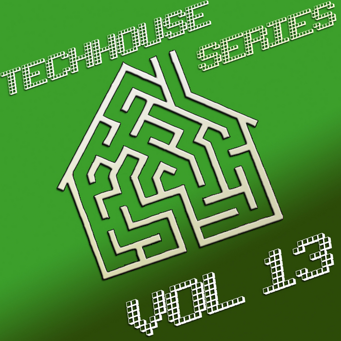 VARIOUS - TechHouse Series Vol 13