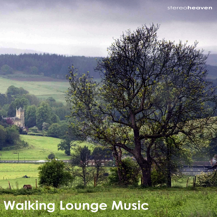VARIOUS - Walking Lounge Music