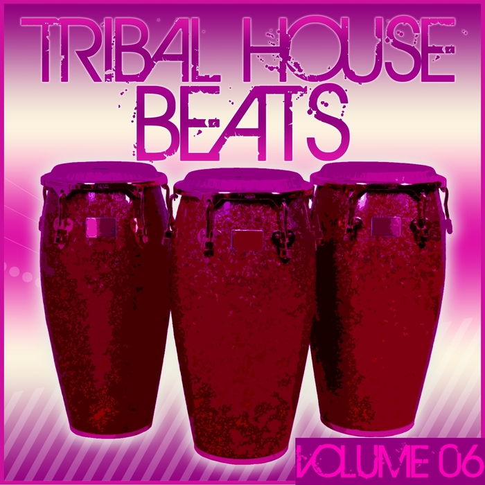 VARIOUS - Tribal House Beats (Volume 06)