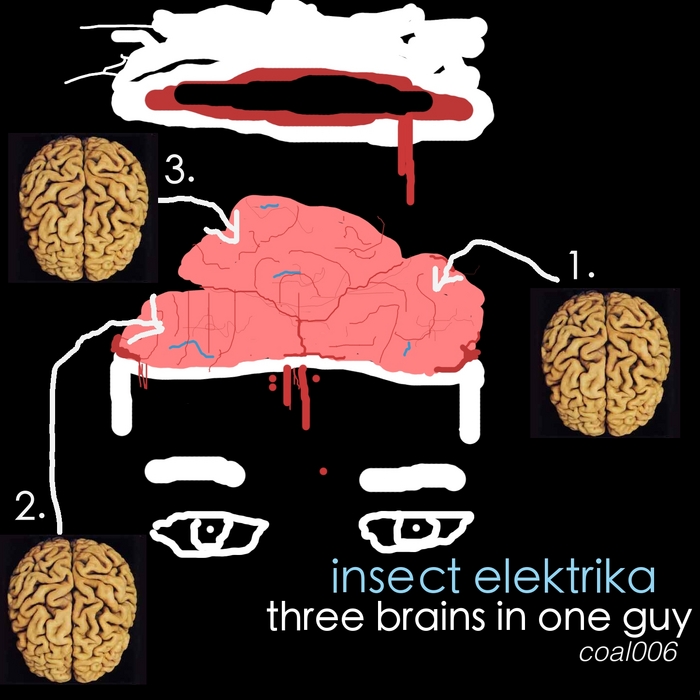 INSECT ELEKTRIKA - Three Brains In One Guy