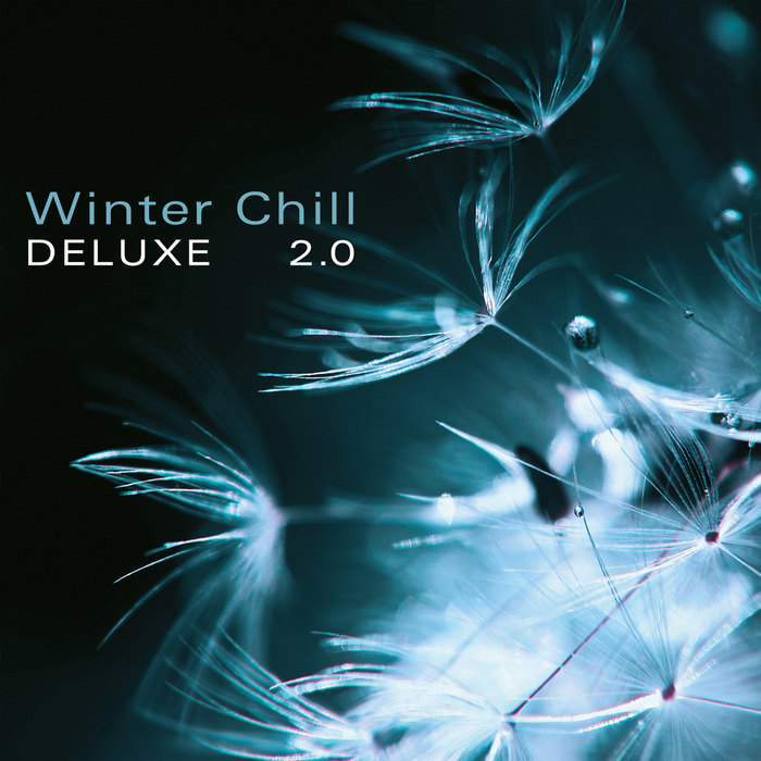 VARIOUS - Winter Chill Deluxe 2.0