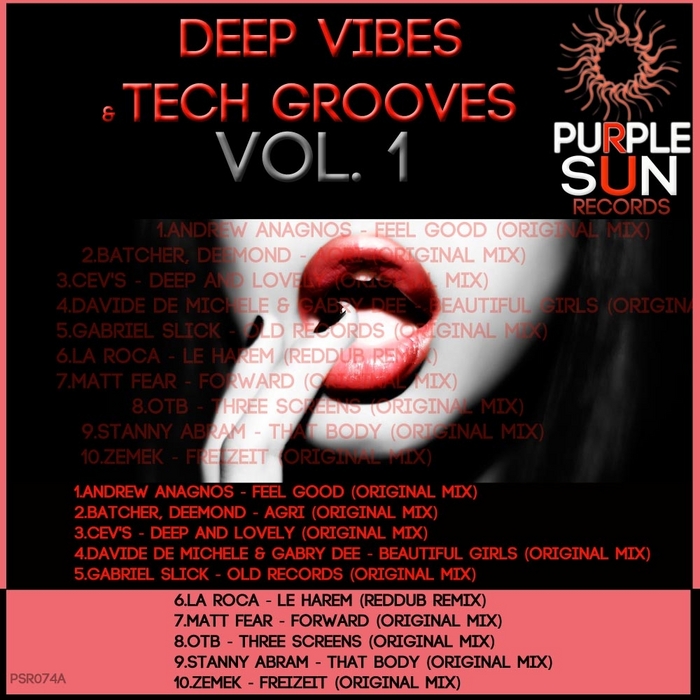 VARIOUS - Deep Vibes & Tech Grooves Vol 1 (unmixed tracks)