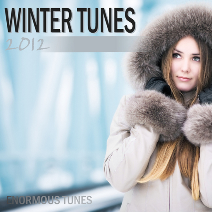 VARIOUS - Winter Tunes 2012