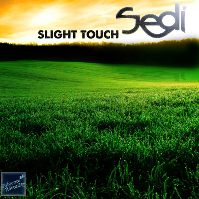 SEDI - Slight Touch