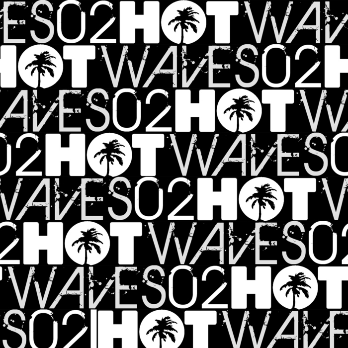 VARIOUS - Hot Waves Compilation Volume Two