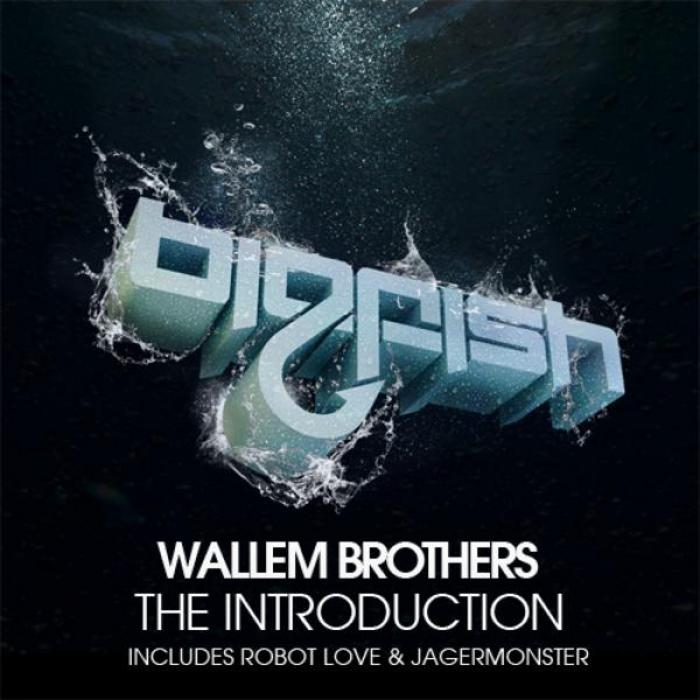 WALLEM BROTHERS - The Introduction