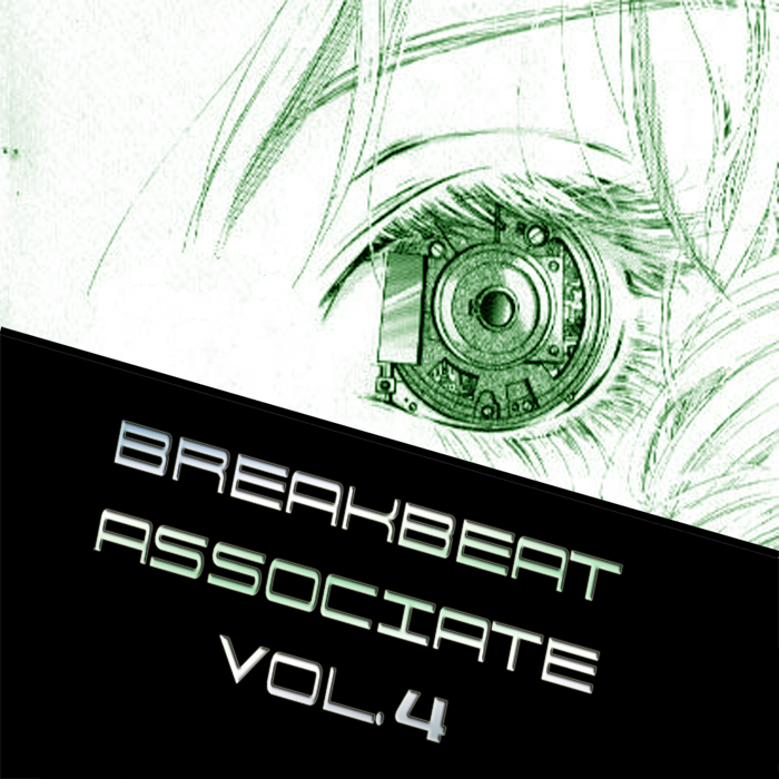 VARIOUS - Breakbeat Associate Vol 4