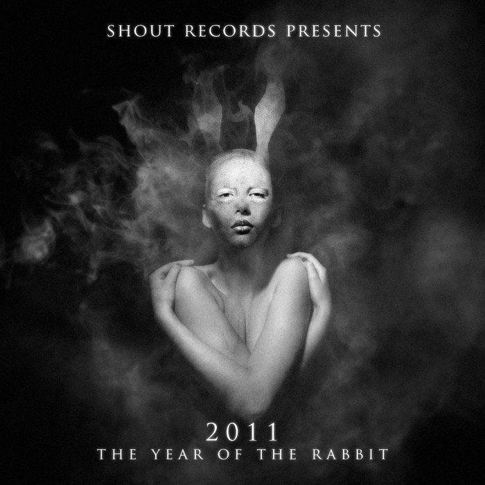 VARIOUS - 2011 The Year Of The Rabbit