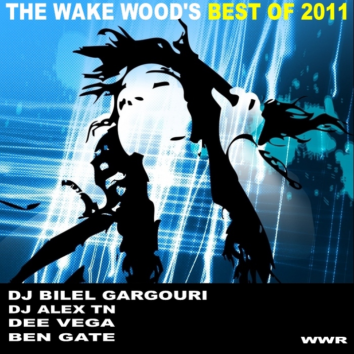 VARIOUS - The Wake Woods Best of 2011