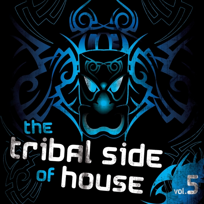 VARIOUS - The Tribal Side Of House Vol 5