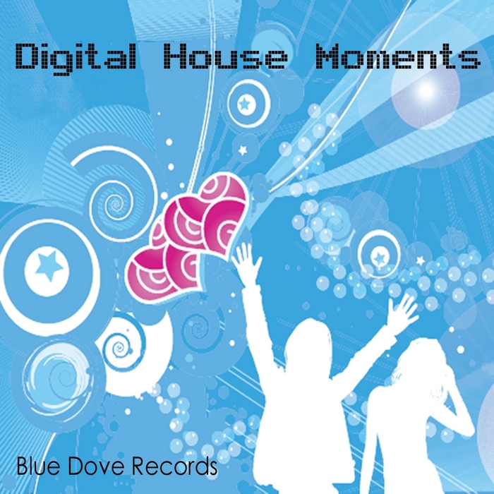 VARIOUS - Digital House Moments