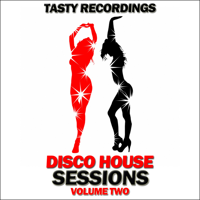 VARIOUS - Disco House Sessions: Volume Two