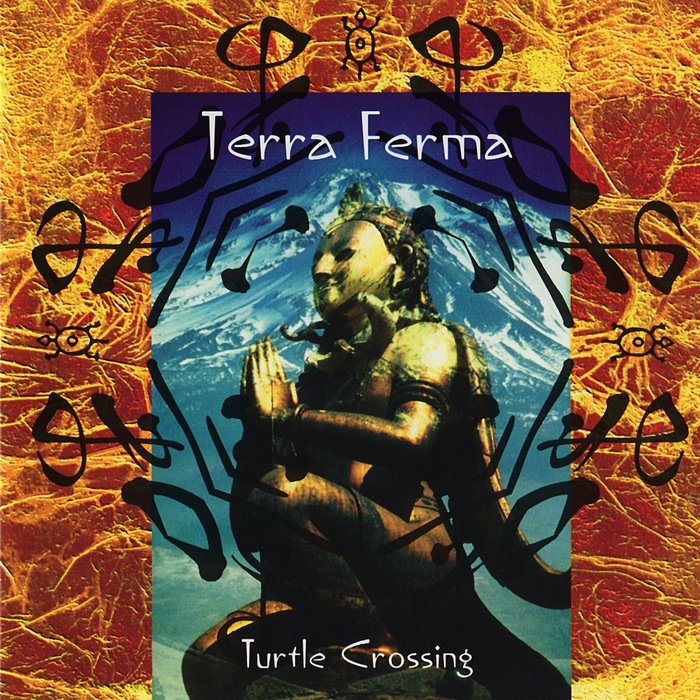 TERRA FIRMA - Turtle Crossing