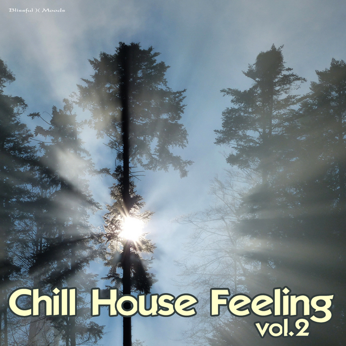 VARIOUS - Chill House Feeling Vol 2