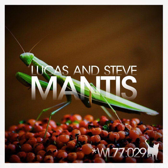 LUCAS & STEVE - Mantis