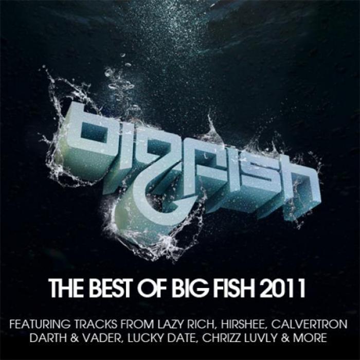 VARIOUS - Best Of Big Fish 2011