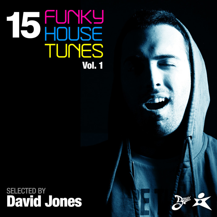 VARIOUS - 15 Funky House Tunes Vol 1 - Selected By David Jones