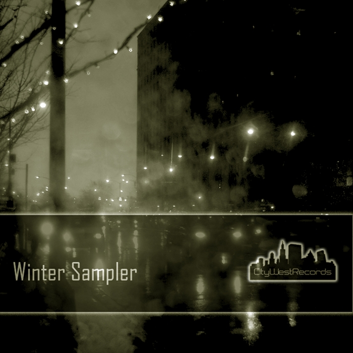 VARIOUS - Winter Sampler