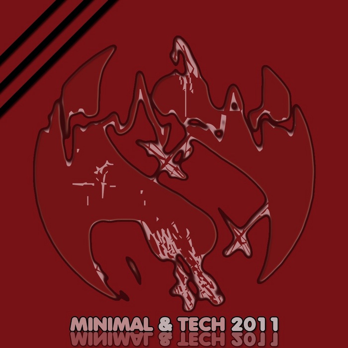 VARIOUS - Minimal & Tech 2011