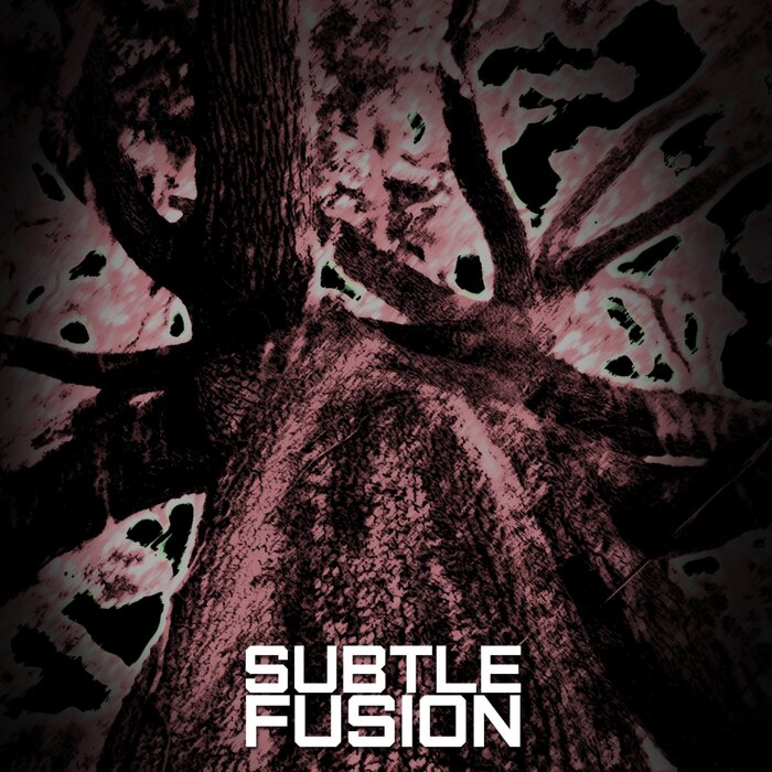 SUBTLE FUSION - Subtle Fusion
