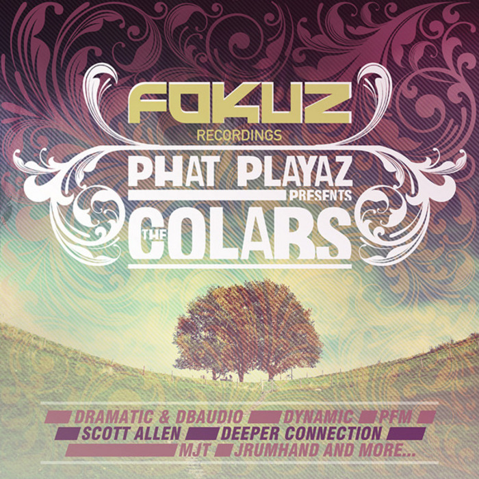 PHAT PLAYAZ/VARIOUS - The Colabs Album
