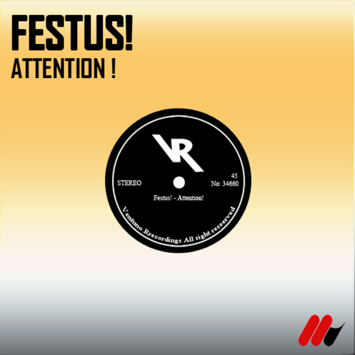 FESTUS! - Attention