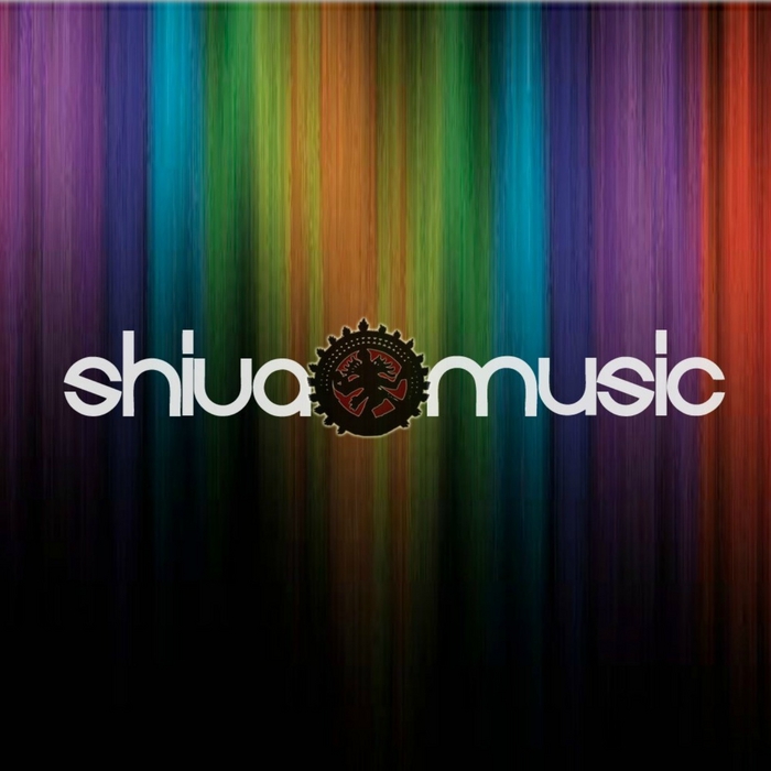 VARIOUS - Happy New Year 2012 (The Best of Shiva Music 2011)