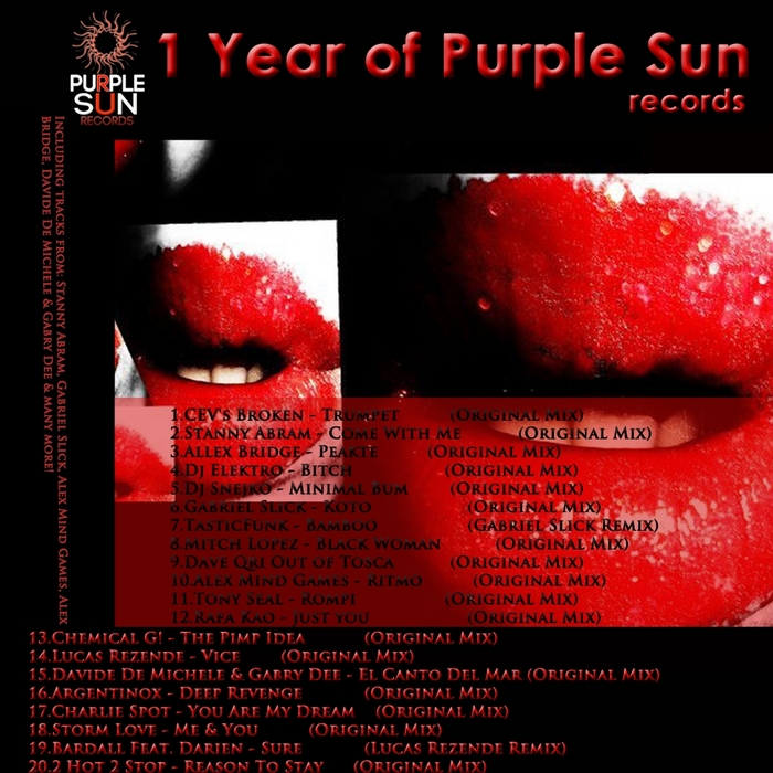 VARIOUS - 1 Year Of Purple Sun