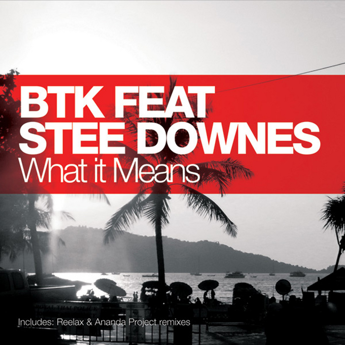 BTK feat STEE DOWNES - What It Means