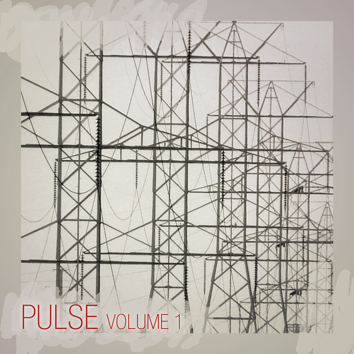 VARIOUS - Pulse Vol 1
