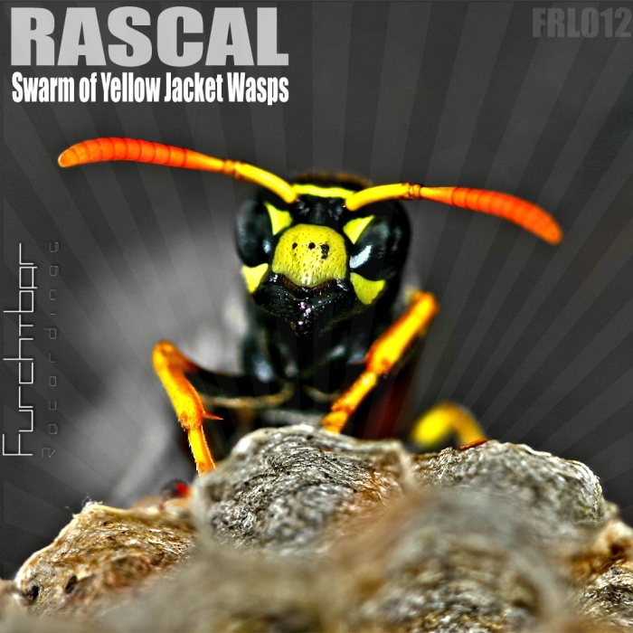 RASCAL - Swarm Of Yellow Jacket Wasps EP