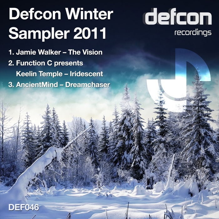 WALKER, Jamie/FUNCTION C/KEELIN TEMPLE/ANCIENTMIND - Defcon Winter Sampler 2011