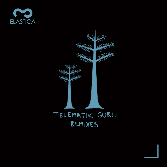 TELEMATIK GURU - Remixes