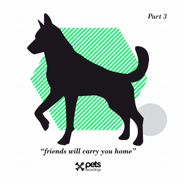 VARIOUS - Friends Will Carry You Home Part 3