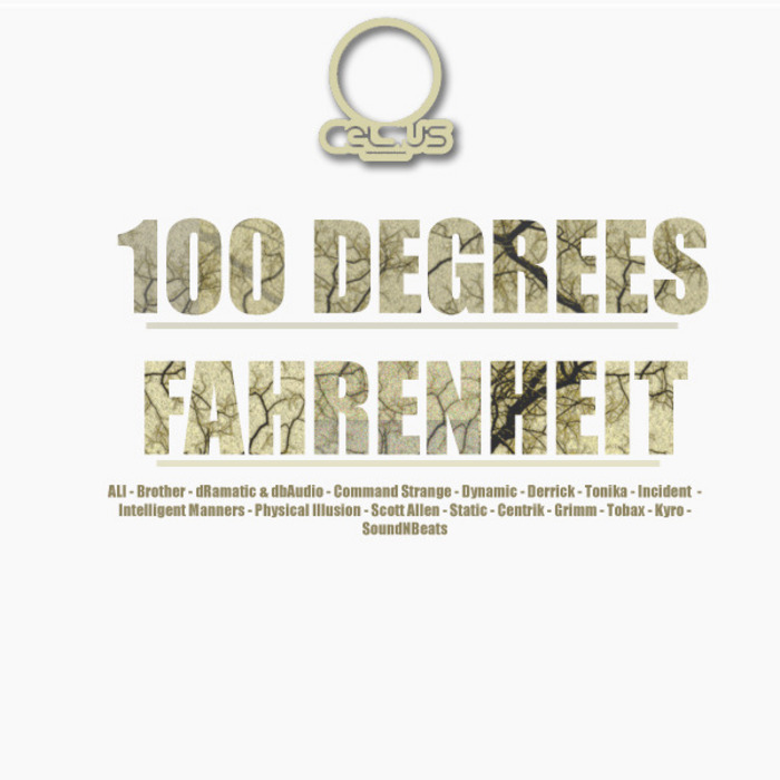 VARIOUS - 100 Degrees Fahrenheit