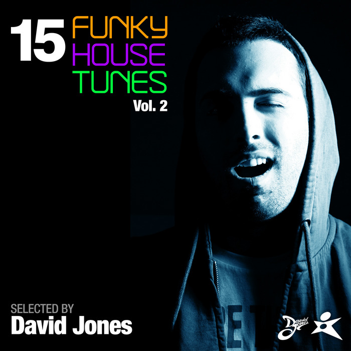 VARIOUS - 15 Funky House Tunes Vol 2 - Selected By David Jones