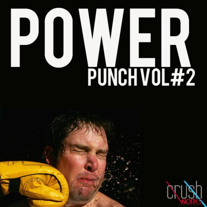 VARIOUS - Power Punch Vol#2