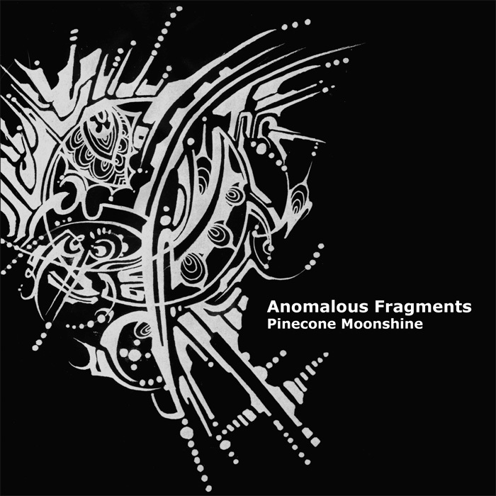 VARIOUS - Anomalous Fragments