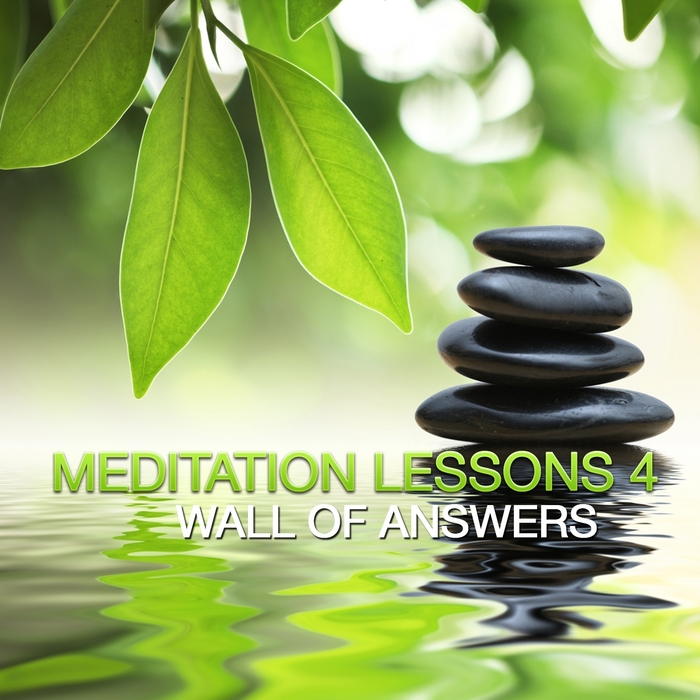 VARIOUS - Meditation Lesson 4 (Wall Of Answers)