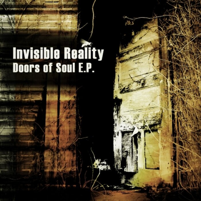 Invisible Reality - Doors Of Soul