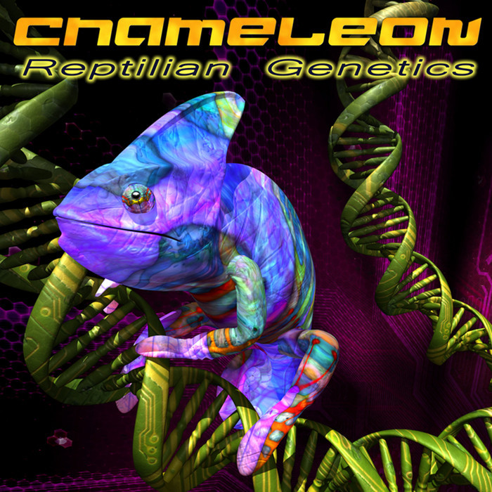 Chameleon voice. Хамелеон обложка. Хамелеон коллаж. Музыкальный хамелеон. Хамелеон (DVD).