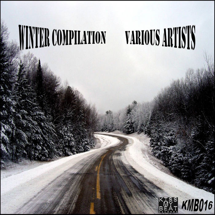 VARIOUS - Winter Compilation
