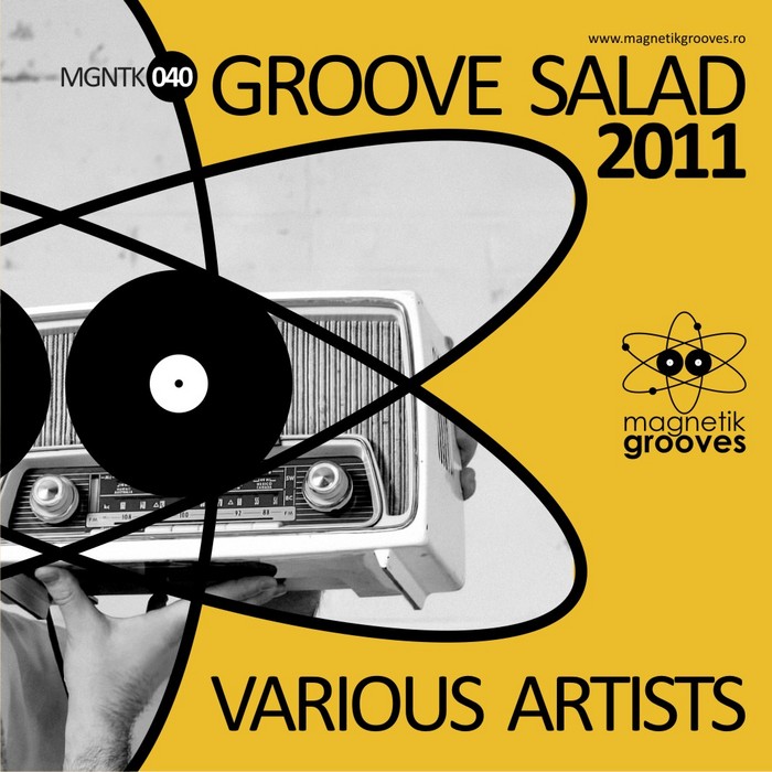 VARIOUS - Groove Salad 2011