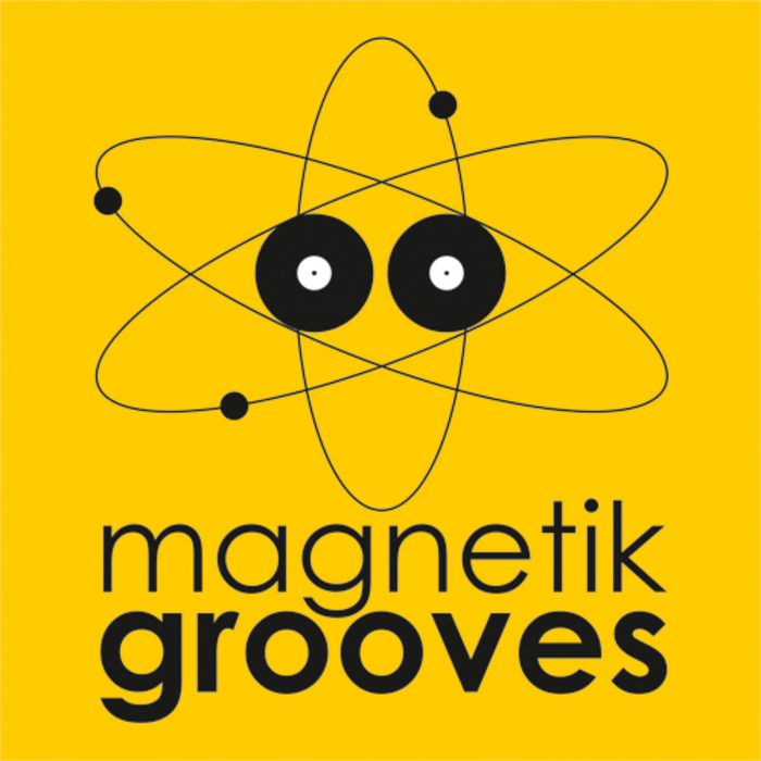 VARIOUS - Best Of Magnetik Grooves 2011