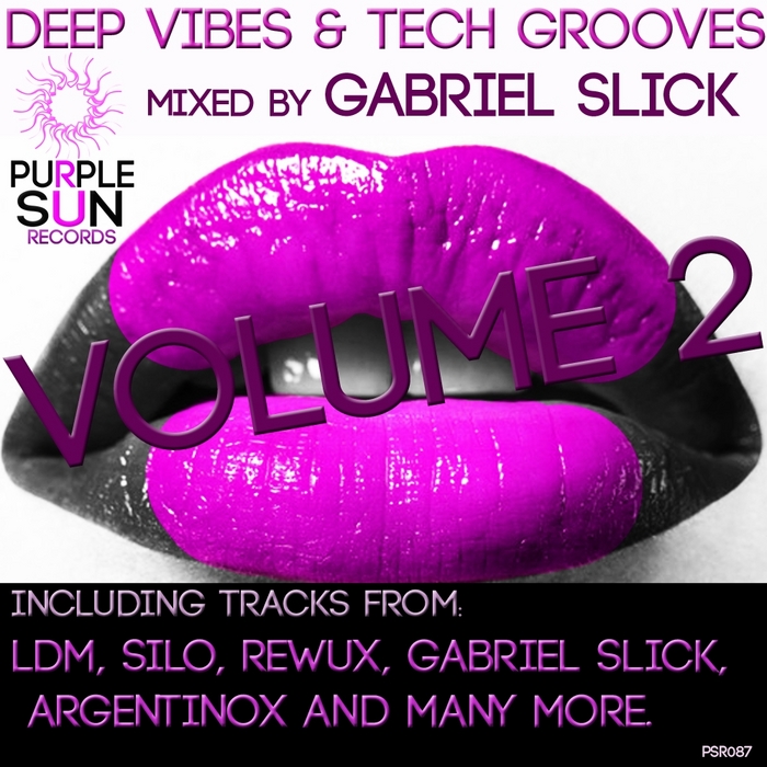 VARIOUS - Deep Vibes & Tech Grooves Vol 2