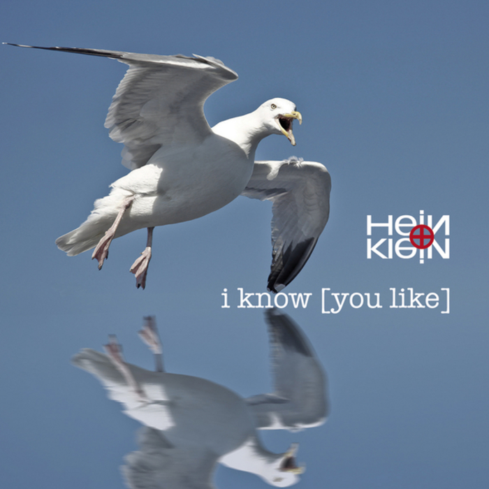 HEIN/KLEIN - I Know U Like