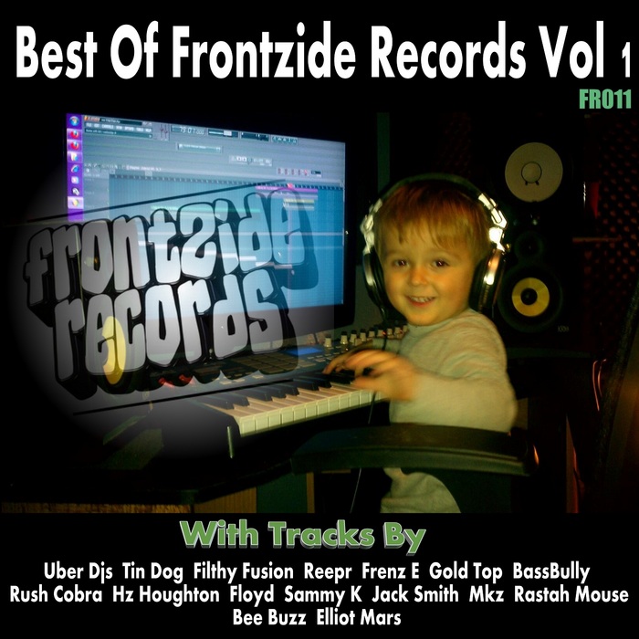 VARIOUS - Best Of Frontzide Records Vol 1